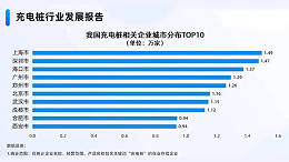 2025充电桩行业洗牌预测：TOP10企业市占率精准预估